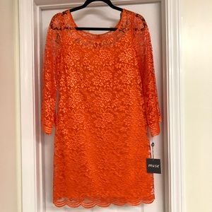 Muse $148 orange lace dress with sleeves, size 6